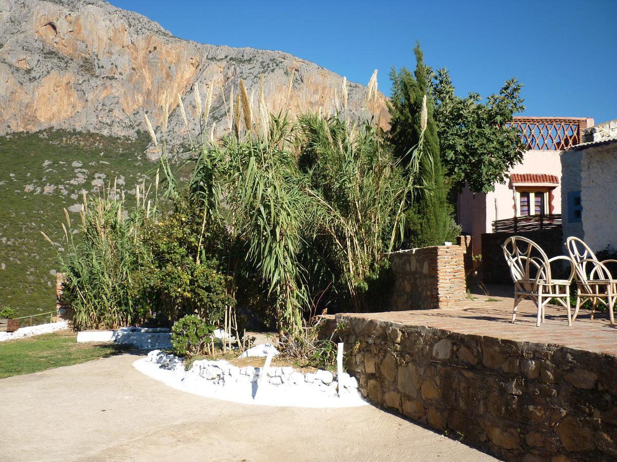 Caiat Lounge Refuge Pansiyon Taghzoute Dış mekan fotoğraf